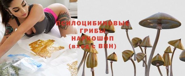 гидра Аркадак