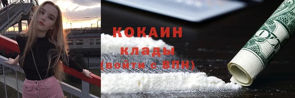 гидра Аркадак