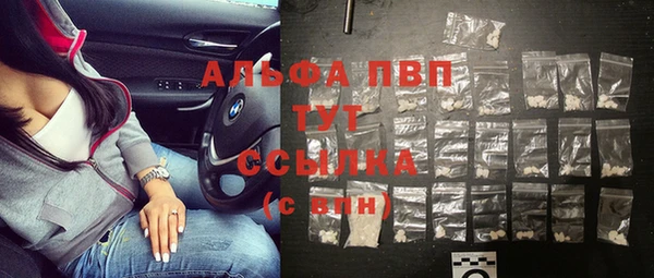гидра Аркадак