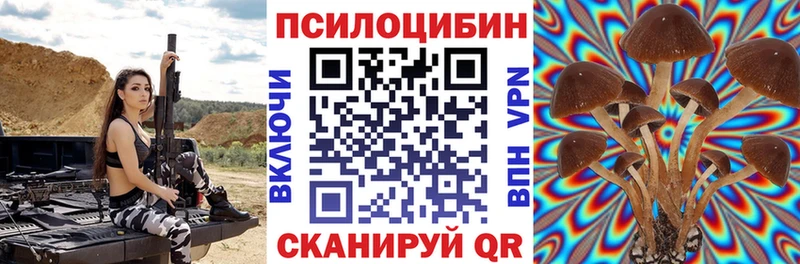 Псилоцибиновые грибы MAGIC MUSHROOMS  купить закладку  Колпашево 